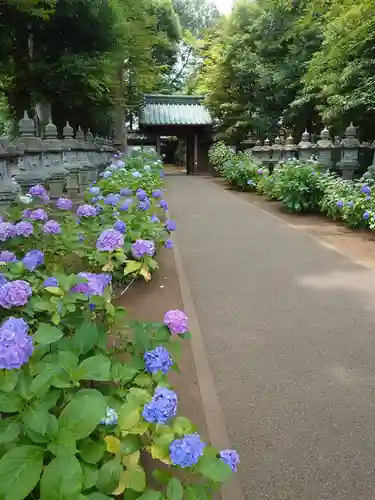 妙法寺の山門