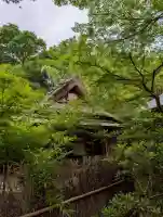 宝厳院(京都府)