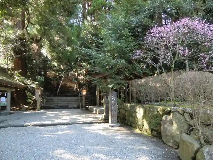 天岩戸神社(宮崎県)