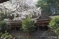 吉野水分神社(吉野町)の御朱印