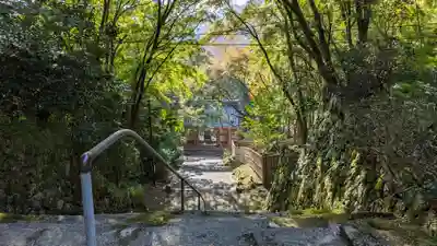 金蔵寺(京都府)