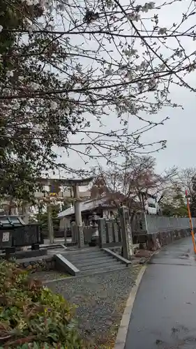 大歳神社(京都府)