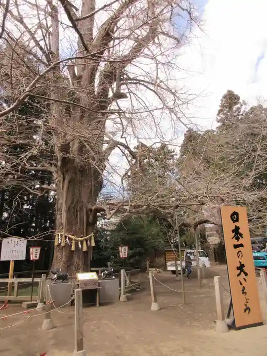 水戸八幡宮のその他建物
