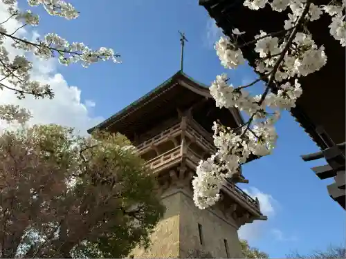 大雲院(京都府)