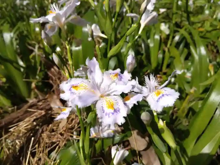 角原神社(福井県)