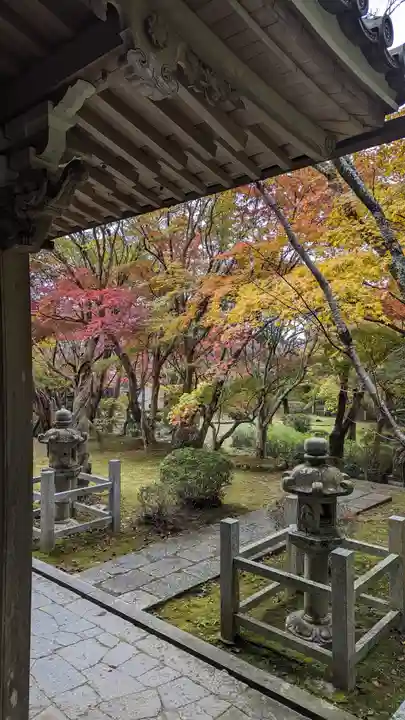 勝持寺(花の寺)(京都府)