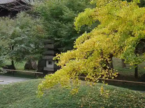 淨眞寺の庭園