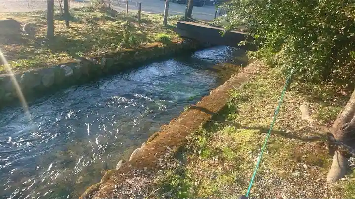 乃木神社の自然