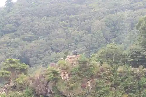 太龍寺の景色