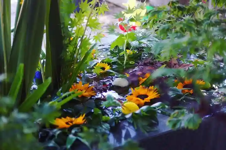 東海市熊野神社の手水舎