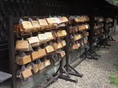 梅宮大社の絵馬