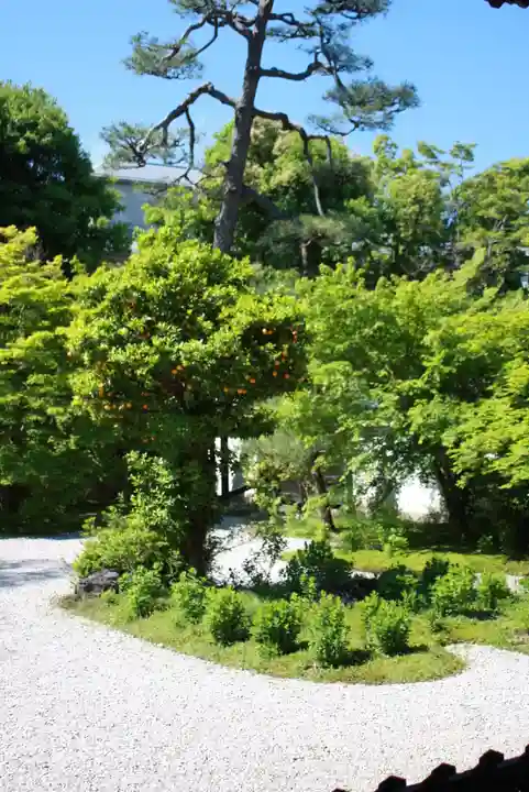 廬山寺(廬山天台講寺)(京都府)