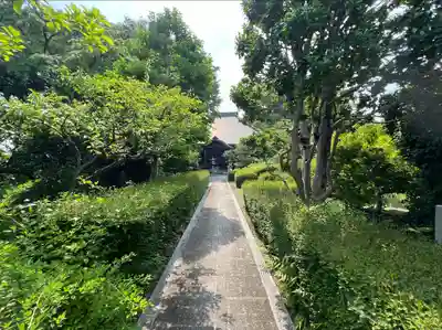 浄雲寺(神奈川県)