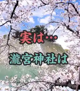 瀧宮神社(広島県)(2026年01月10日(土) 08時08分01秒投稿)