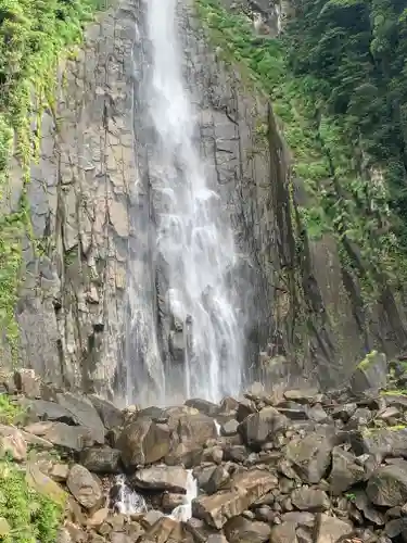 飛瀧神社（熊野那智大社別宮）の自然