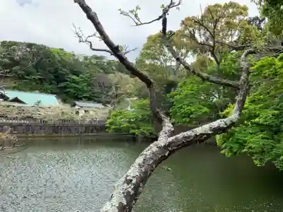 安房神社の周辺