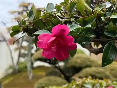 西方山極楽寺(岐阜県)