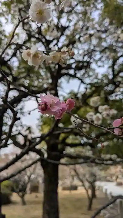 智積院(京都府)