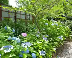 若宮八幡社(愛知県)