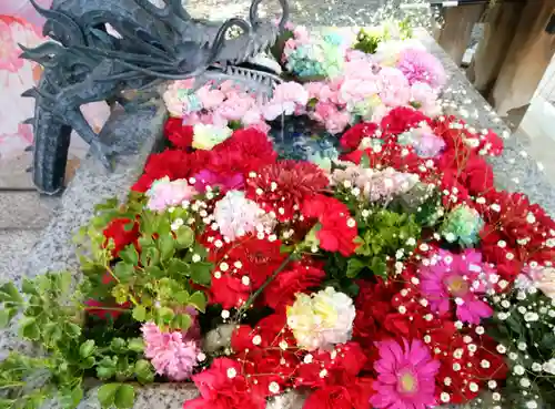 札幌諏訪神社の手水舎