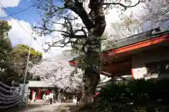 前原御嶽神社(千葉県)