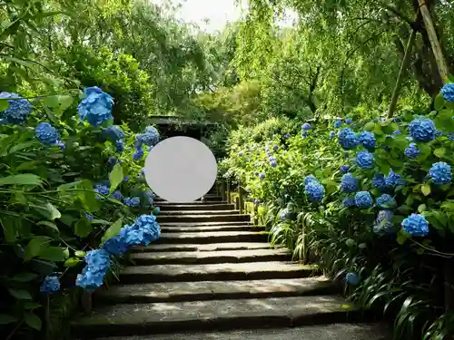 明月院(神奈川県)