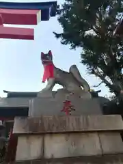 京濱伏見稲荷神社の狛犬