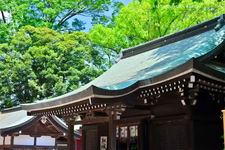 川越氷川神社(埼玉県)