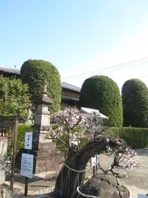 真光寺(千葉県)