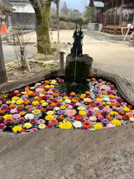 嵐山瀧神社の{uncategorized: "未分類", other: "その他", undefined: "問題あり", building: "その他建物", grave: "お墓", sacred_gate: "鳥居", guardian: "狛犬", statue: "像", buddha: "仏像", history: "歴史", nature: "自然", garden: "庭園", animal: "動物", pagoda: "塔", temizu: "手水舎", mountain_gate: "山門・神門", sanctuary: "本殿・本堂", subordinate: "末社・摂社", art: "芸術", scenery: "景色", jizo: "地蔵", ema: "絵馬", goshuin: "御朱印", omikuji: "おみくじ", items: "授与品その他", amulet: "お守り", goshuincho: "御朱印帳", eats: "食事", festival: "お祭り", votive_dance: "神楽", shichigosan: "七五三参", wedding: "結婚式", experience: "体験その他", initially: "初詣", around: "周辺", anti_infection: "感染症対策"}
