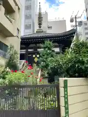 圓頓寺(大阪府)