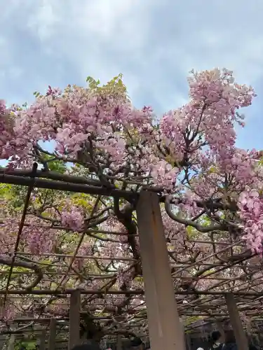 行興寺の{uncategorized: "未分類", other: "その他", undefined: "問題あり", building: "その他建物", grave: "お墓", sacred_gate: "鳥居", guardian: "狛犬", statue: "像", buddha: "仏像", history: "歴史", nature: "自然", garden: "庭園", animal: "動物", pagoda: "塔", temizu: "手水舎", mountain_gate: "山門・神門", sanctuary: "本殿・本堂", subordinate: "末社・摂社", art: "芸術", scenery: "景色", jizo: "地蔵", ema: "絵馬", goshuin: "御朱印", omikuji: "おみくじ", items: "授与品その他", amulet: "お守り", goshuincho: "御朱印帳", eats: "食事", festival: "お祭り", votive_dance: "神楽", shichigosan: "七五三参", wedding: "結婚式", experience: "体験その他", initially: "初詣", around: "周辺", anti_infection: "感染症対策"}
