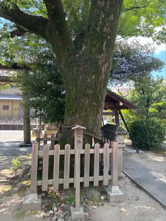 大神神社(花池)(愛知県)