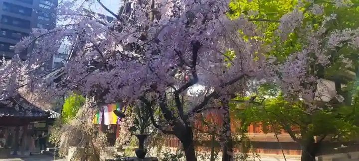 頂法寺(六角堂)(京都府)