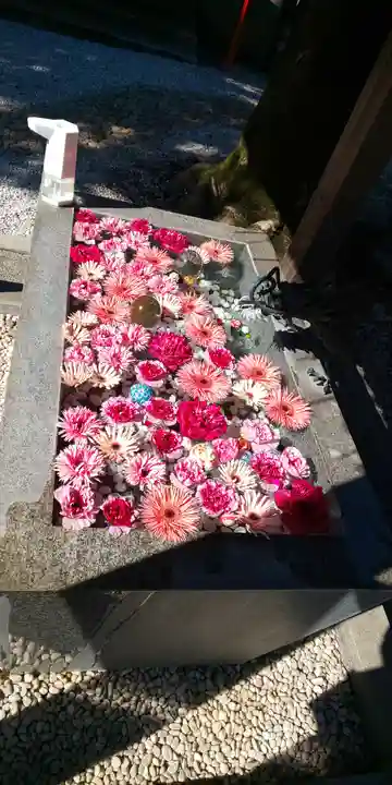 蛇窪神社の手水舎