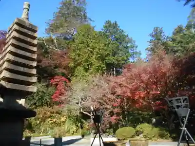覚園寺のその他建物