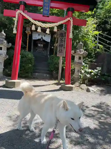 新倉富士浅間神社の末社