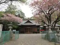 日枝神社(茨城県)