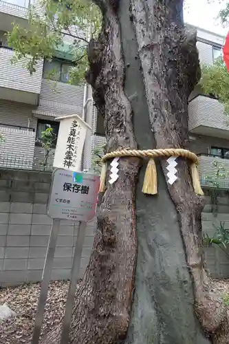 阿倍王子神社の自然