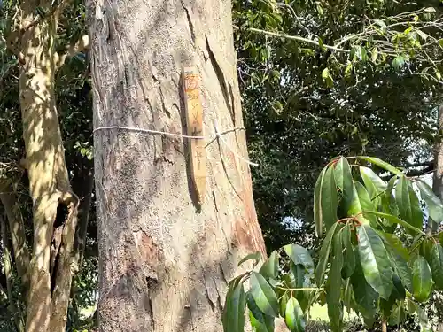 飯開神社(滋賀県)