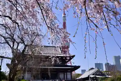 増上寺の本殿・本堂