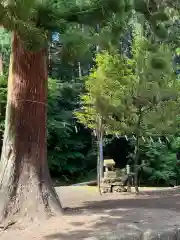 妙義神社(群馬県)