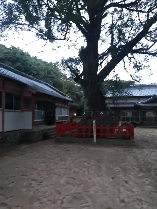 八幡奈多宮の自然