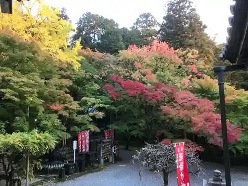 今熊野観音寺のその他建物
