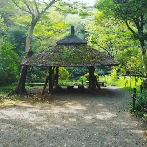 明治神宮の庭園