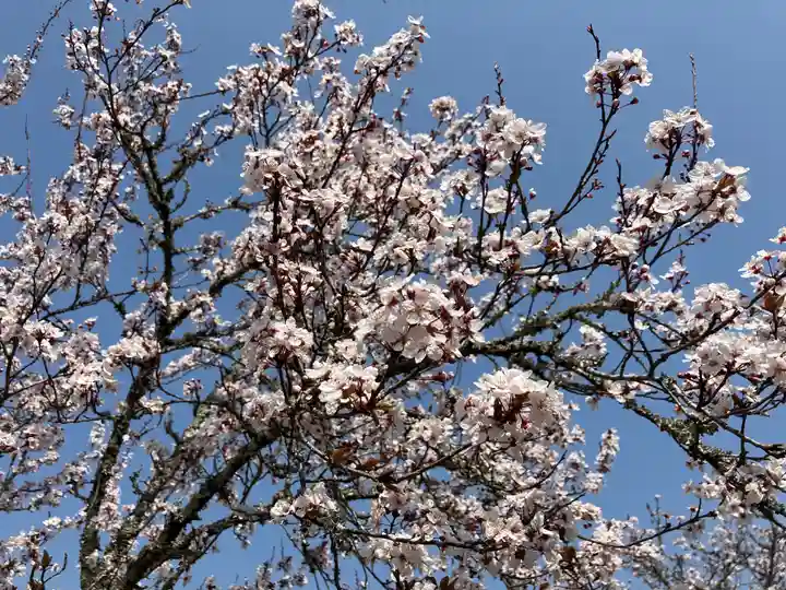 浄瑠璃寺(京都府)