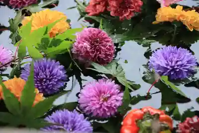 豊景神社の手水舎