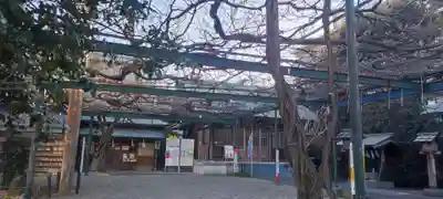 國領神社(東京都)