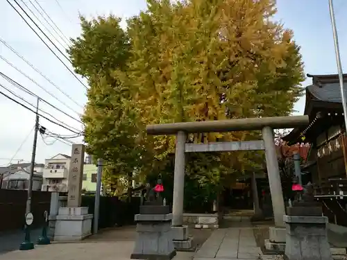 飛木稲荷神社の鳥居