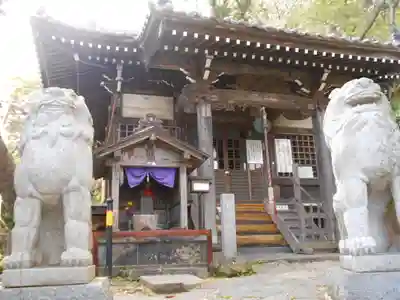 星井寺（虚空蔵堂)の狛犬